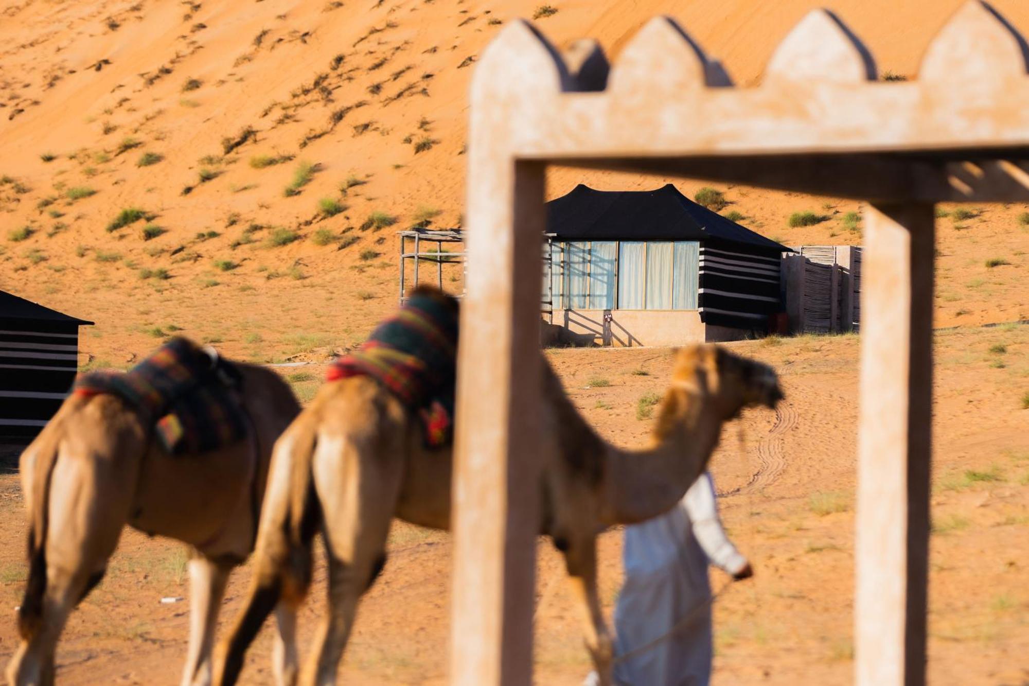 Thousand Nights Camp Shahiq Номер фото